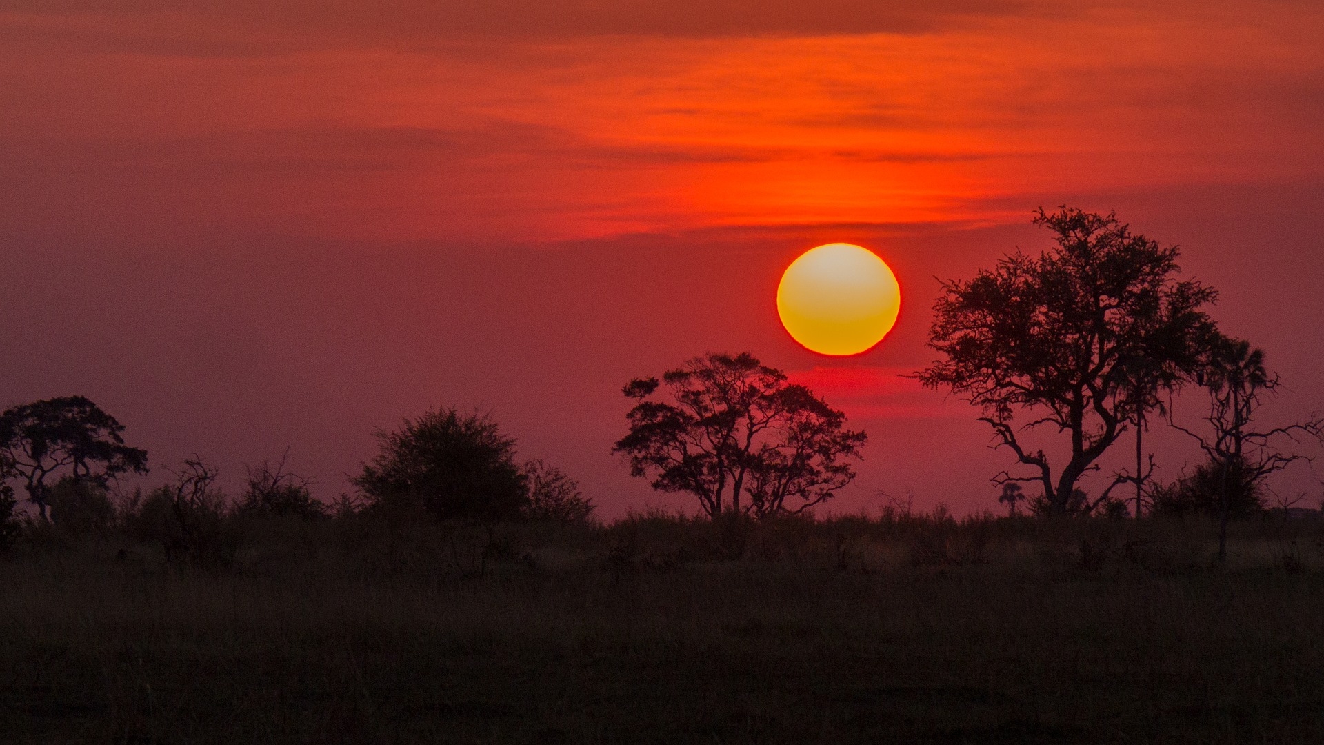 Botswana – eines der größten Tierparadiese Afrikas wartet auf Sie!
