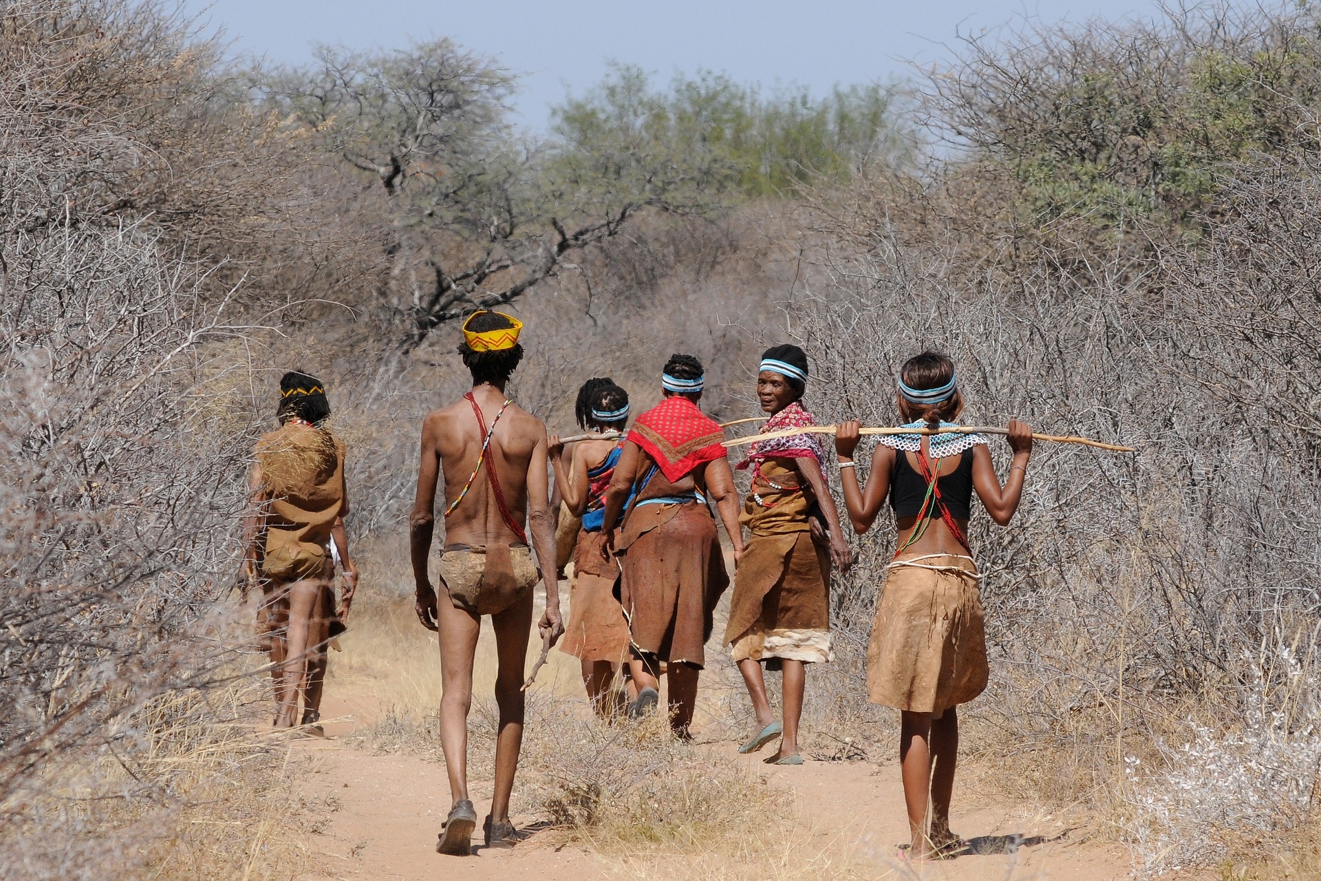 Botswana – eines der größten Tierparadiese Afrikas wartet auf Sie!
