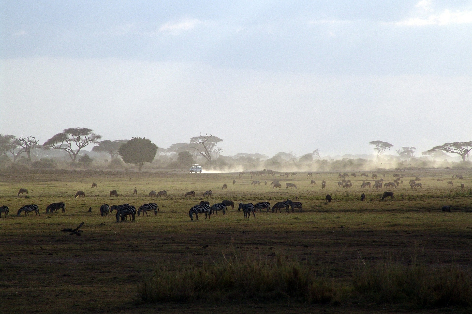 Kenia – afrikanische Lebensfreude wartet auf Sie!