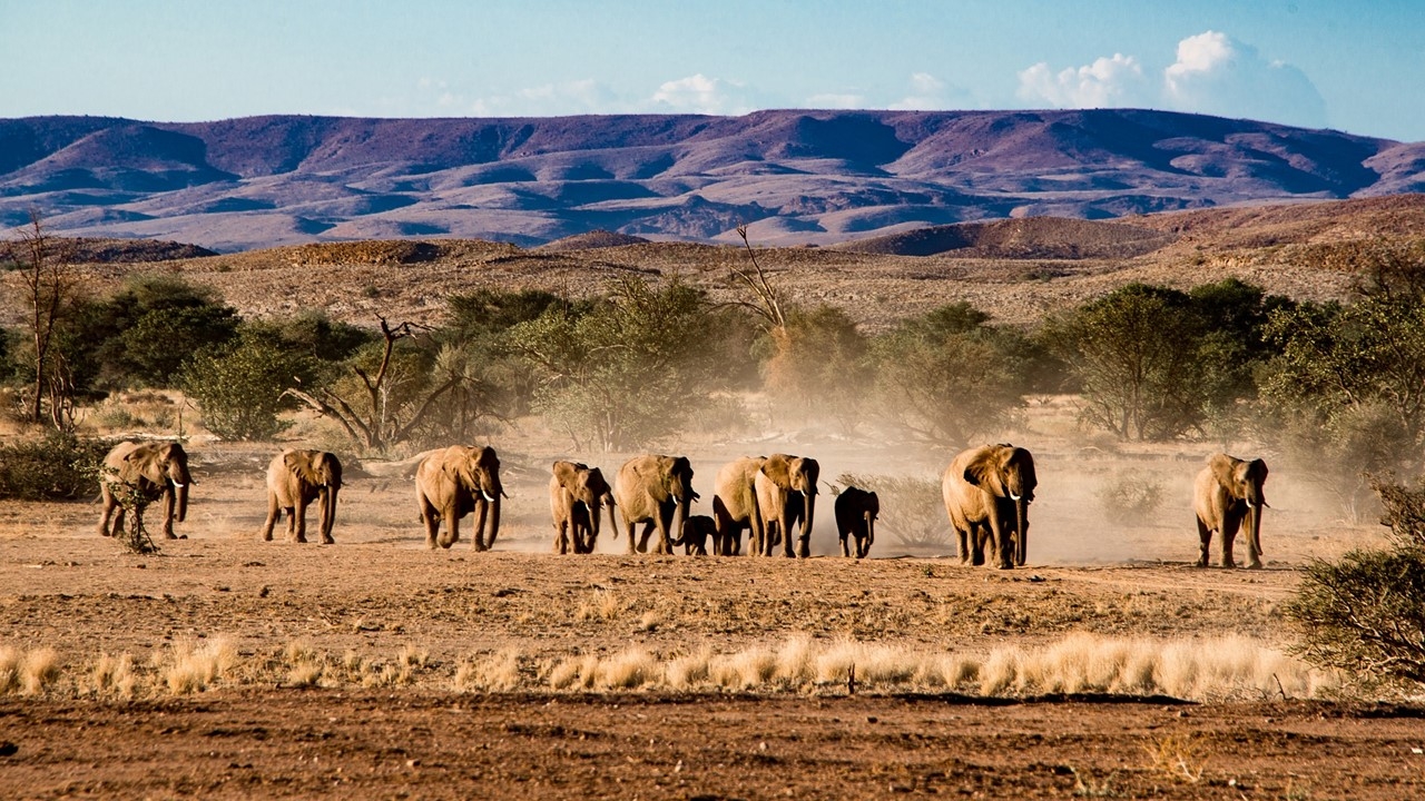 Namibia – ein Land mit atemberaubenden Landschaftsbildern wartet auf Sie!