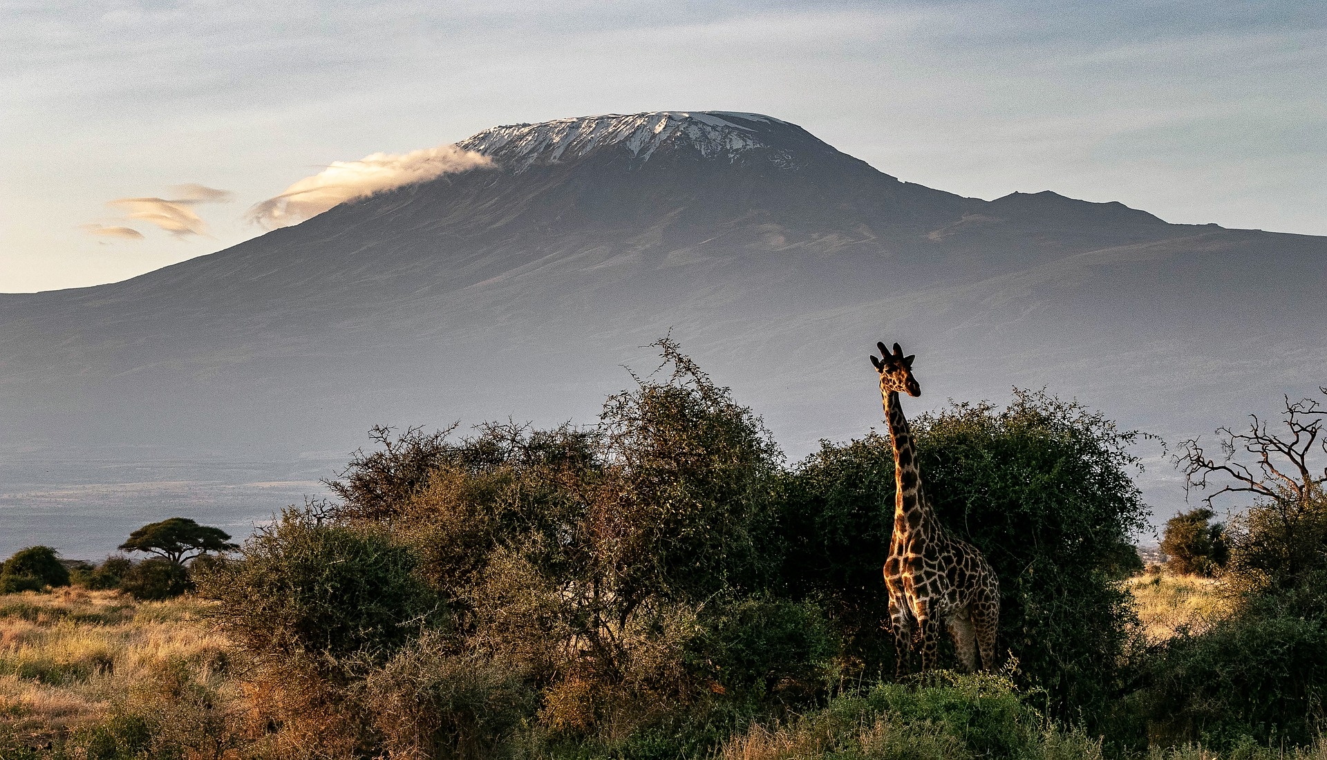 Tansania – eines der berühmtesten Safari-Länder der Welt wartet auf Sie!