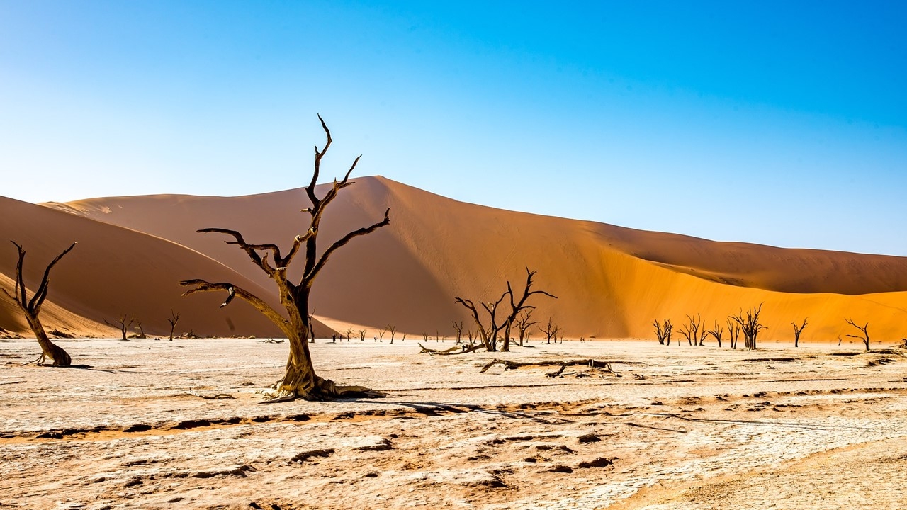 Namibia – ein Land mit atemberaubenden Landschaftsbildern wartet auf Sie!