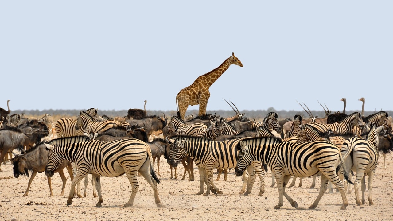 Namibia – ein Land mit atemberaubenden Landschaftsbildern wartet auf Sie!