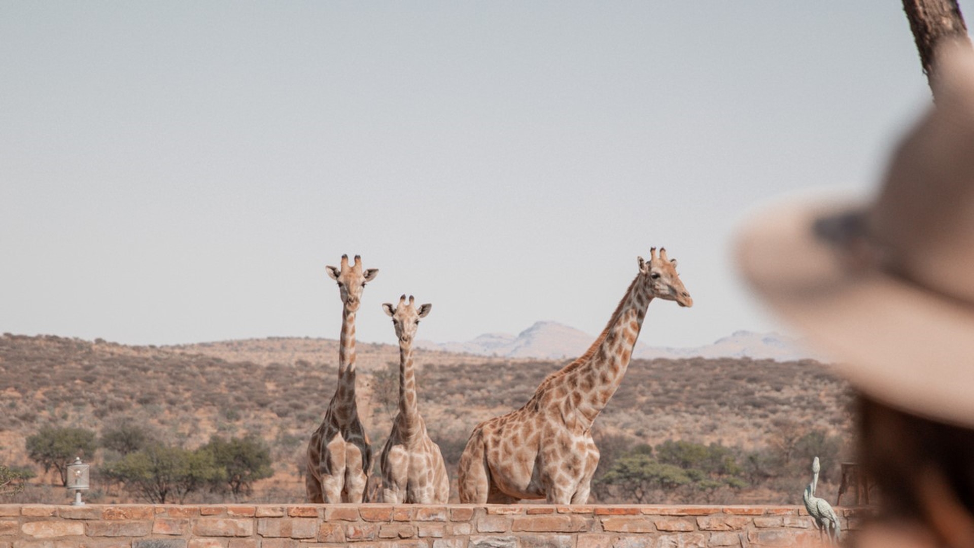 Namibia – ein Land mit atemberaubenden Landschaftsbildern wartet auf Sie!