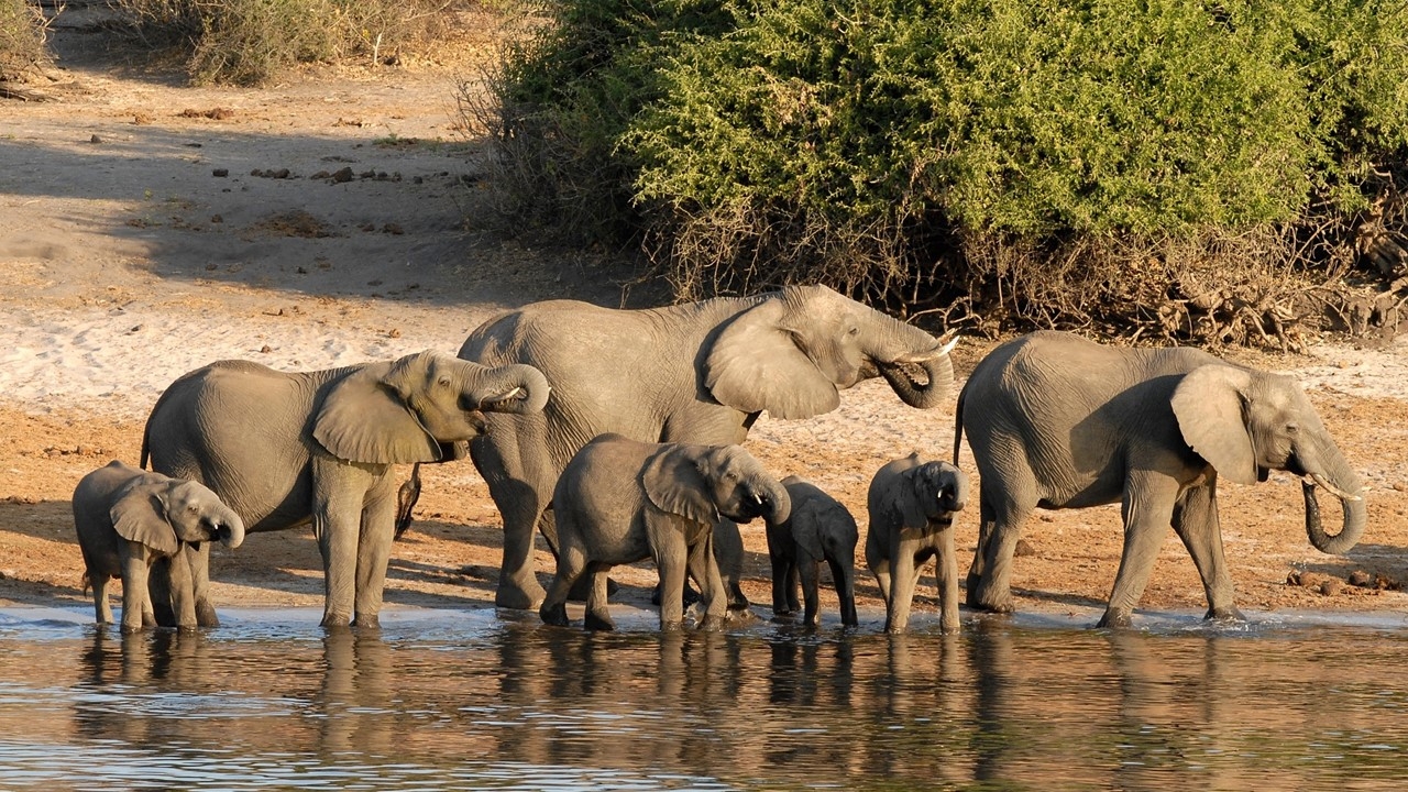 Naturwunder in Namibia mit Victoriafällen 