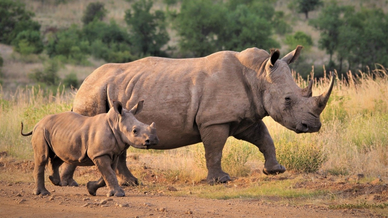 Naturwunder in Namibia mit Victoriafällen 