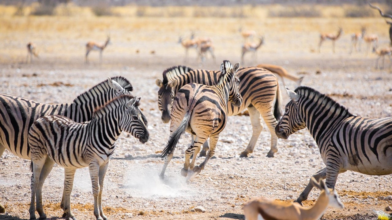 Naturwunder in Namibia mit Victoriafällen 