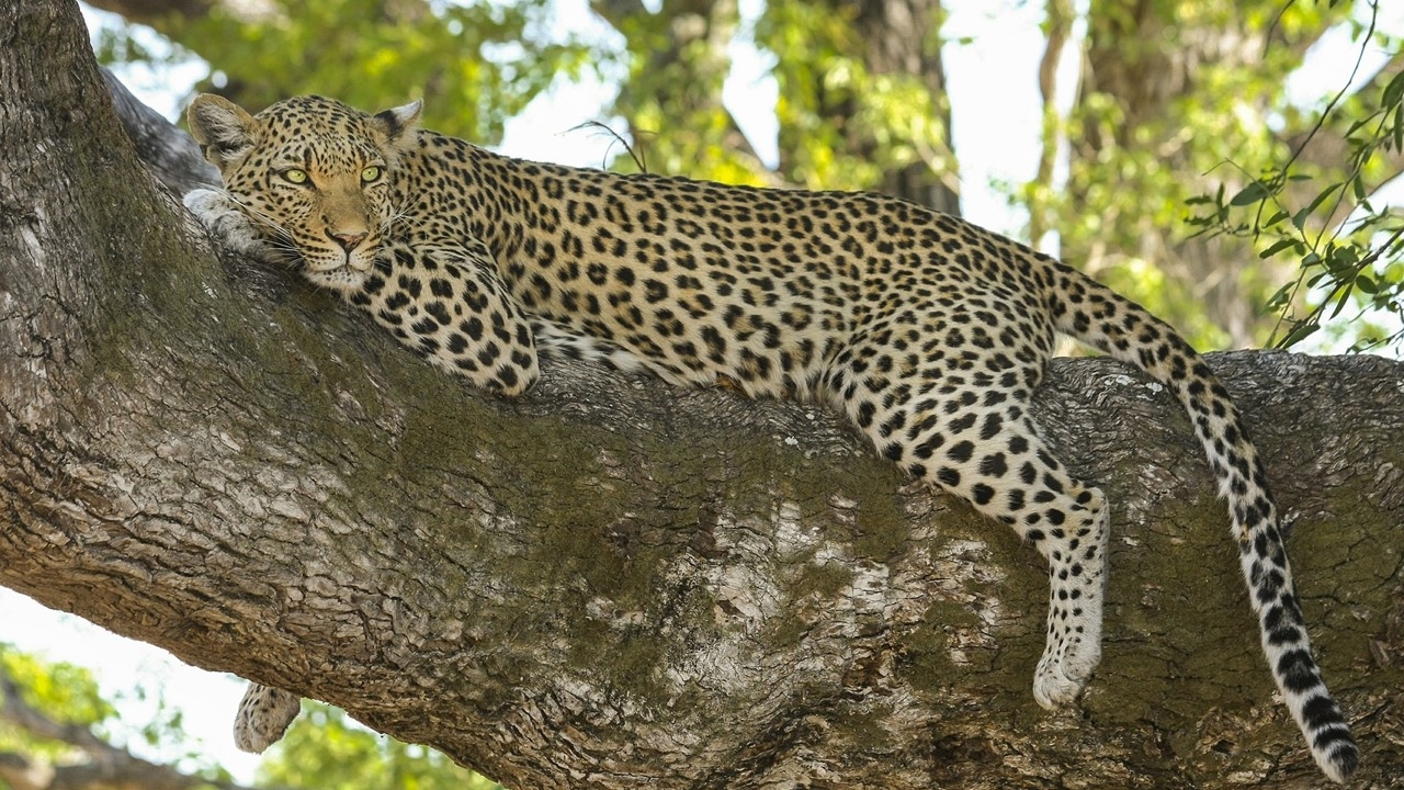 Naturwunder in Namibia mit Victoriafällen 