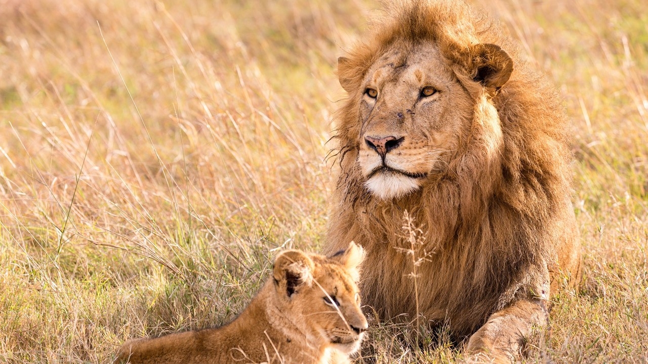 Simbabwe: wild und abenteuerlich
