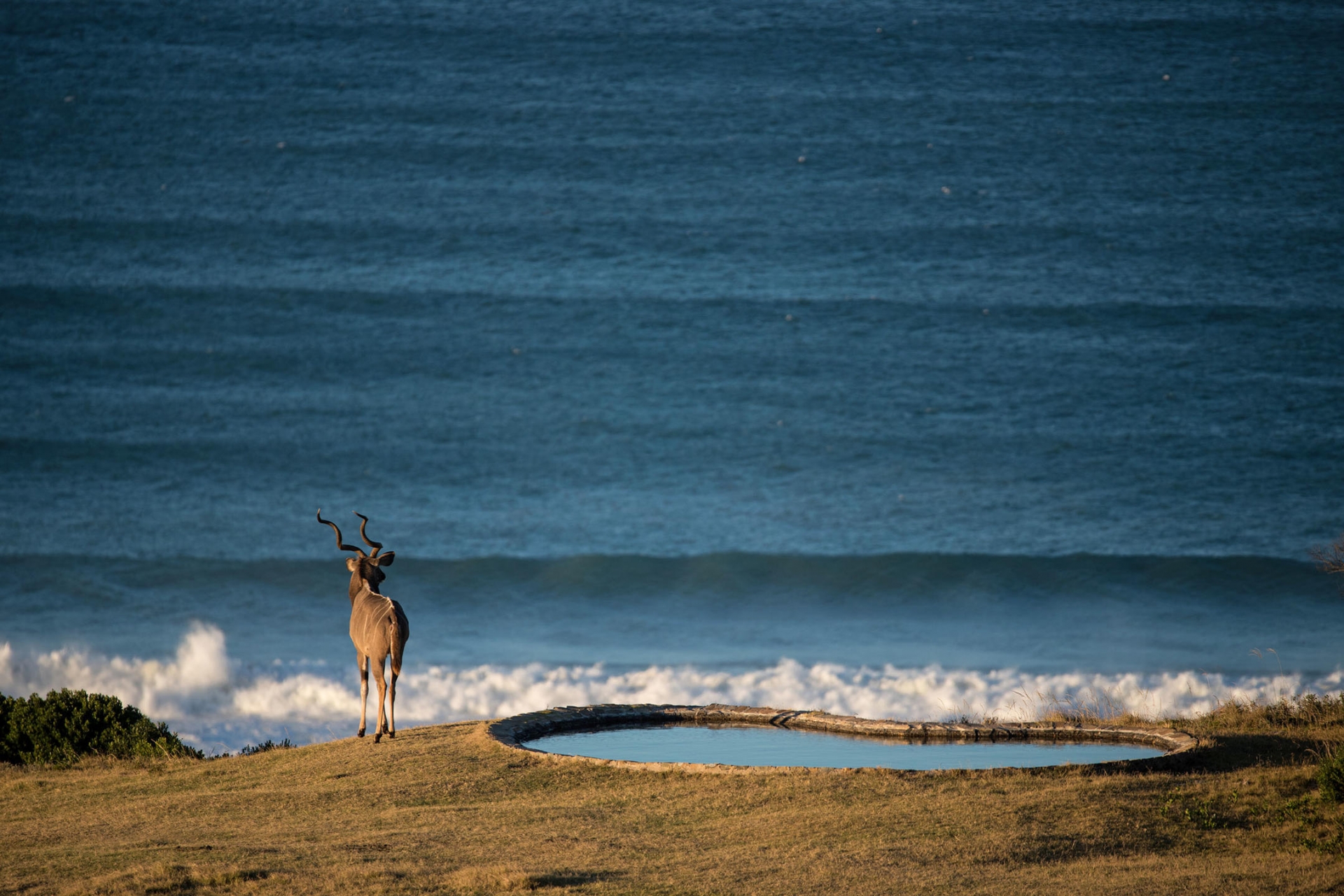 Ostkap Südafrika: Zimmer mit Aussicht