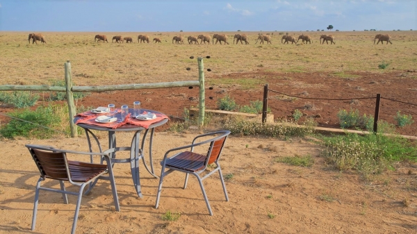 Ashnil Aruba Lodge Tsavo East 