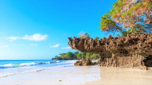The Sands at Chale Island 