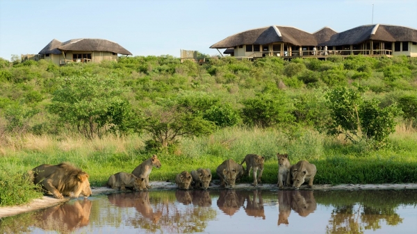 Tau Pan Camp Kalahari