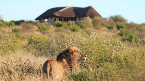 Tau Pan Camp Kalahari