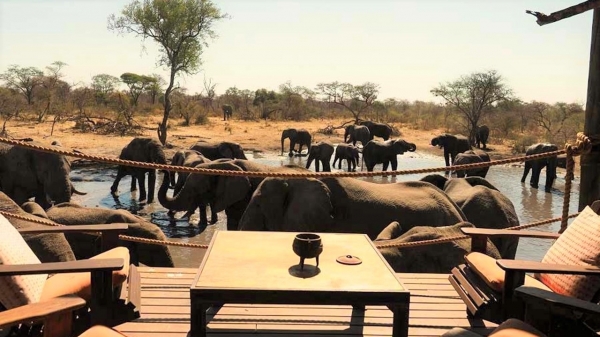 Omogolo Bush Lodge Okavango Delta