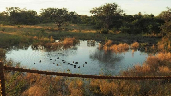 Omogolo Bush Lodge Okavango Delta