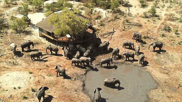 Omogolo Bush Lodge Okavango Delta