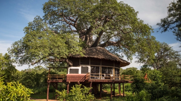 Tarangire Treetops Babati