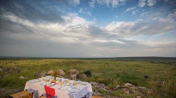 Tarangire Treetops Babati