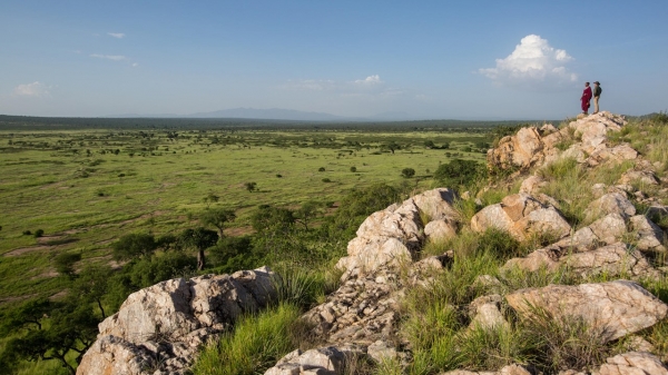 Tarangire Treetops Babati
