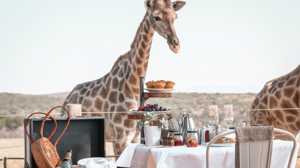 Voigtland Guesthouse Windhoek