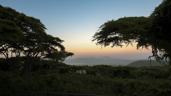 Ngorongoro Lions Paw Camp Ngorongoro