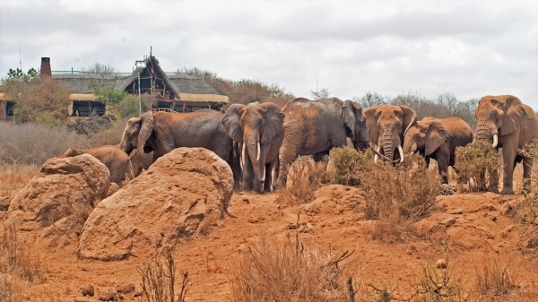 Satao Elerai Camp Amboseli