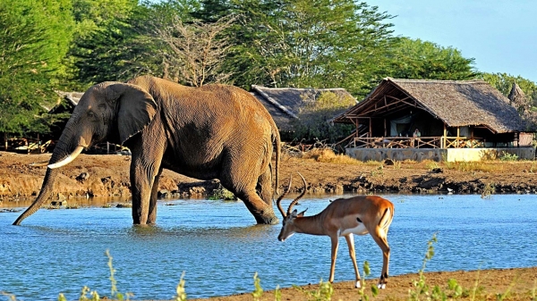 Satao Camp Tsavo Ost
