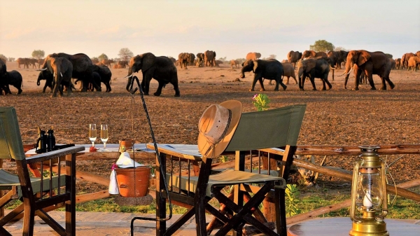 Satao Camp Tsavo Ost