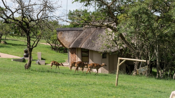 Muluwa Lodge White River