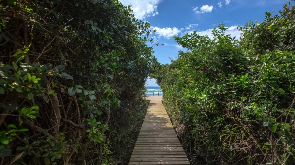 Thonga Beach Lodge iSimangaliso Wetland Park