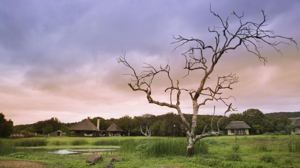 andBeyond Phinda Zuka Lodge 