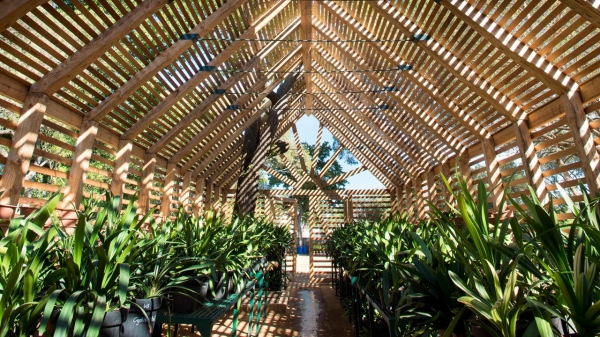 Babylonstoren Hotel Winelands
