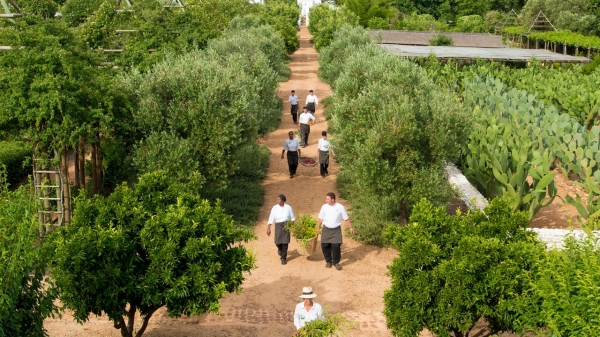Babylonstoren Hotel Winelands