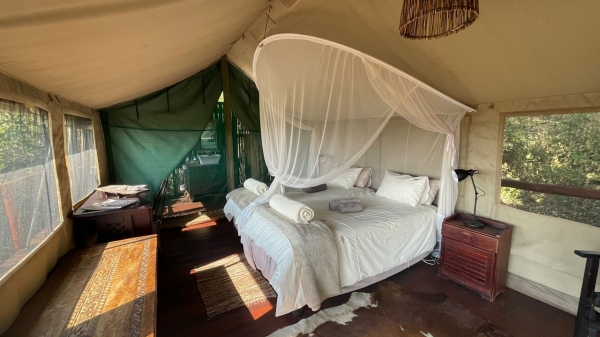 Taranga Safari Lodge