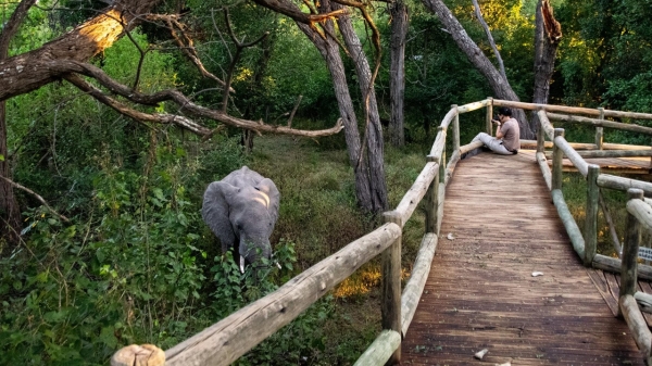 Nambwa Tented Lodge