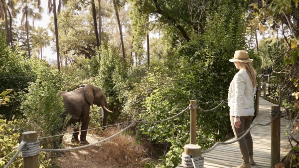 Victoria Falls River Lodge