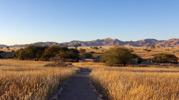 Agama Lodge Sossusvlei
