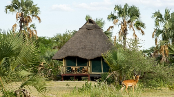 Maramboi Tented Lodge Tarangire