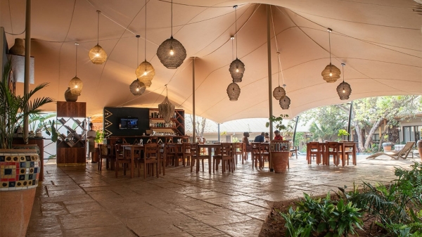 Shongwe Oasis