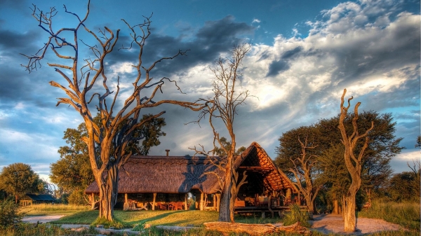 Bomani Tented Lodge