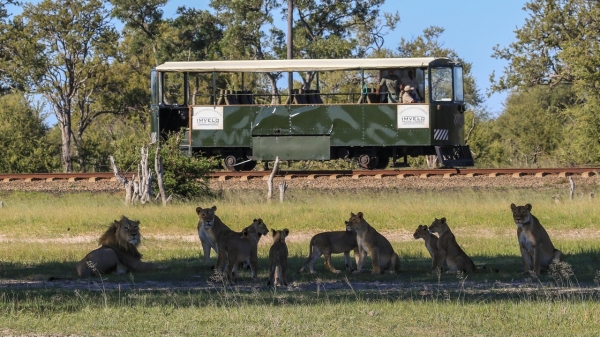 Bomani Tented Lodge