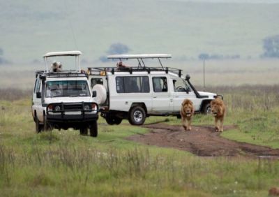 Rezension zu einer Reise nach Tansania 