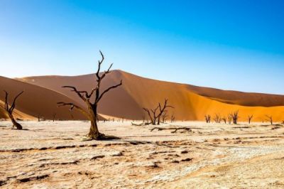 Namibia-Dead_Vlei_2_PIXABAY.jpg