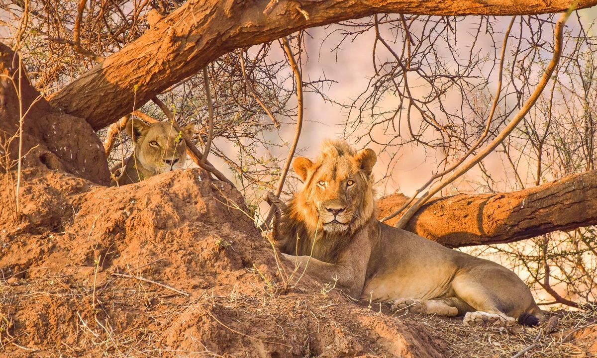 AFRIKA · INSPIRATION - Afrika: Ready for the next adventure?
