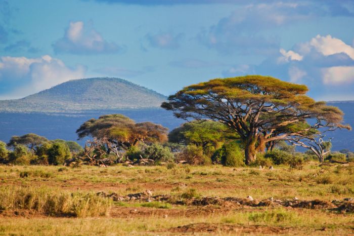 OSTAFRIKA · ÄGYPTEN - Afrika: zwischen Spuren der Geschichte und Spurenlesen auf Safari