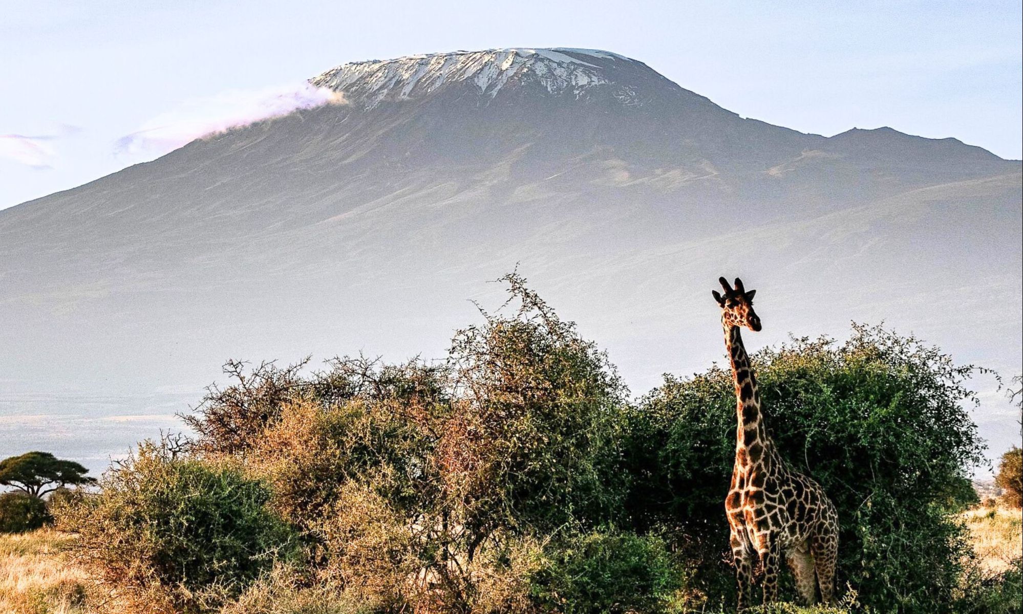 TANSANIA · PERSÖNLICHE REISEGESCHICHTE - Once in a lifetime: der Kilimanjaro ruft