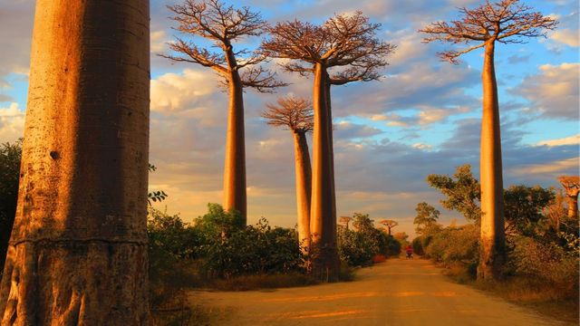 NEUIGKEITEN · REISEINSPIRATION - Mehr Afrika. Mehr Möglichkeiten. Mehr persönliche Beratung.