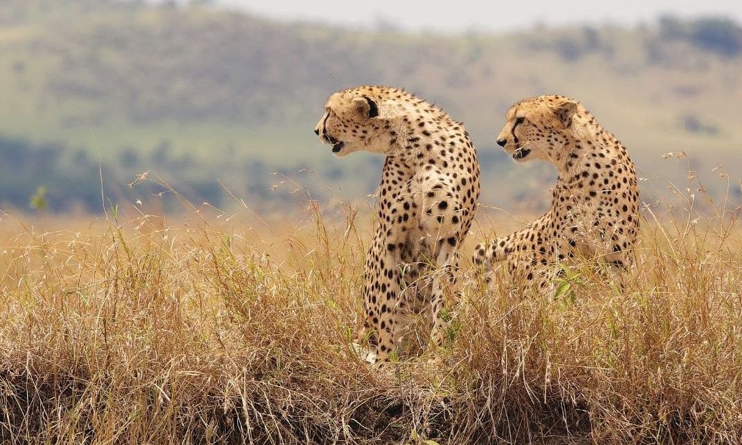AFRIKA · REISEIDEEN - Never stop dreaming: neue Reiseideen