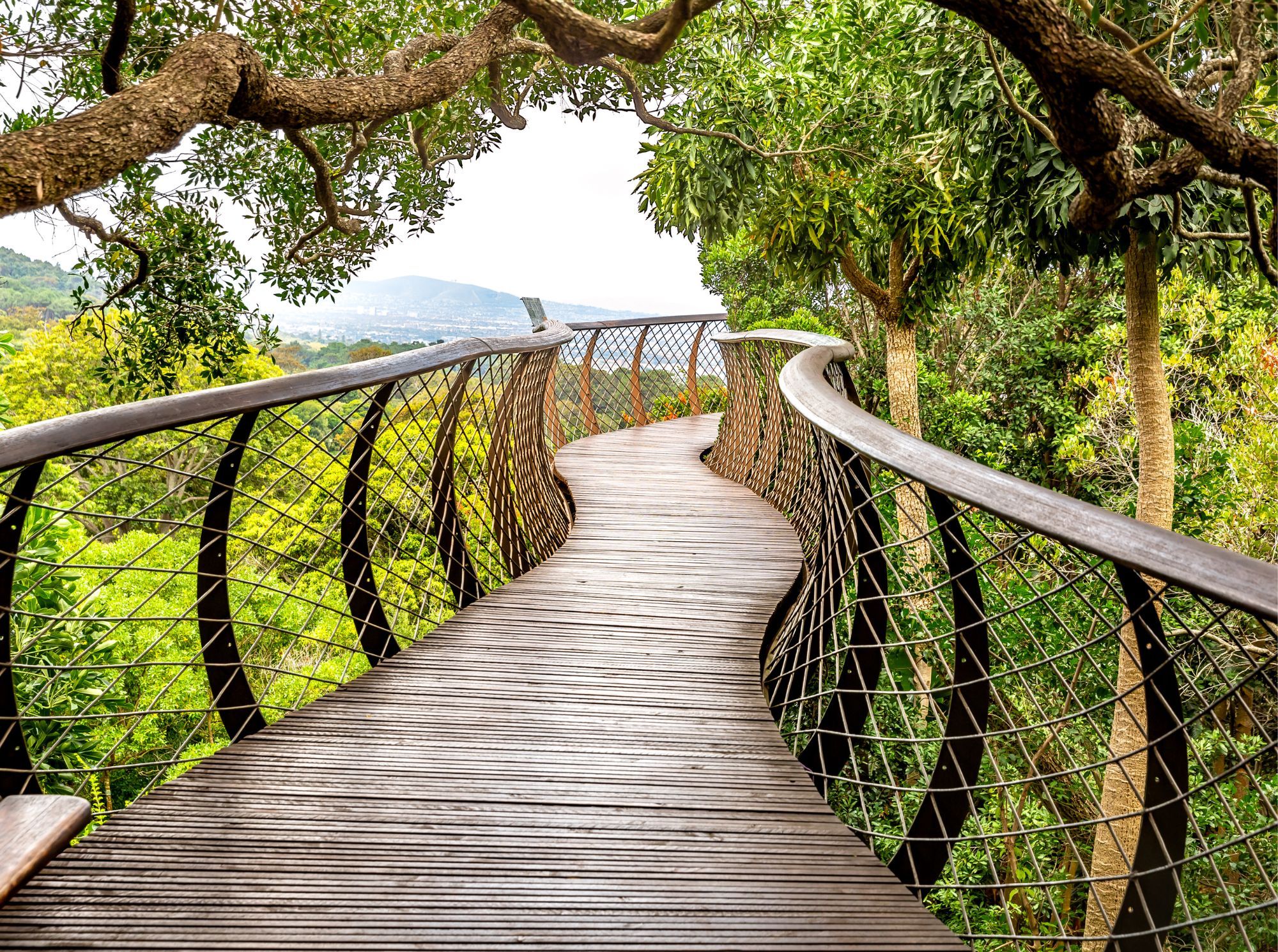 Kirstenbosch